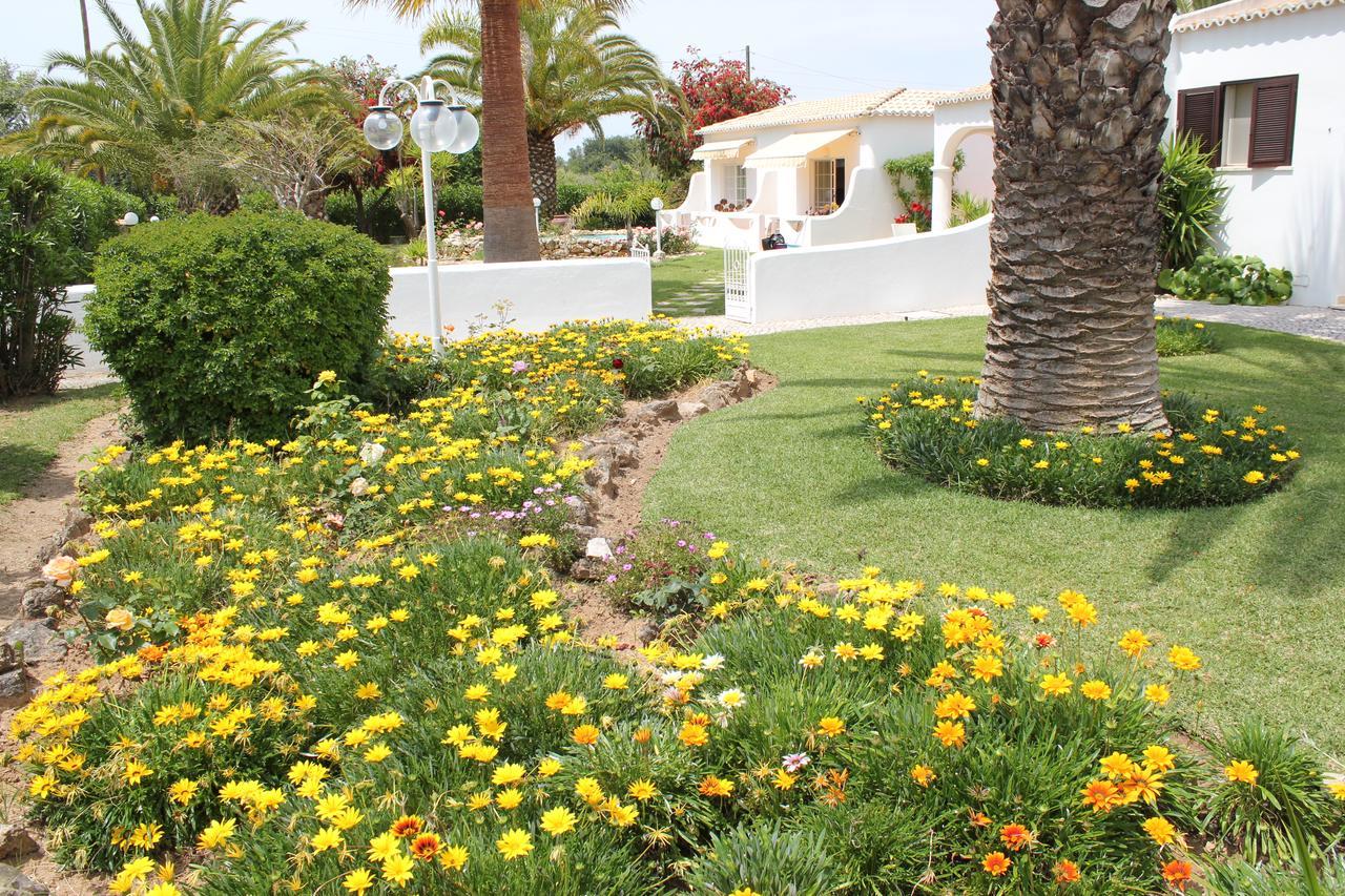 カルヴォエイロ Quinta Dos Oliveiras Bed & Breakfast エクステリア 写真