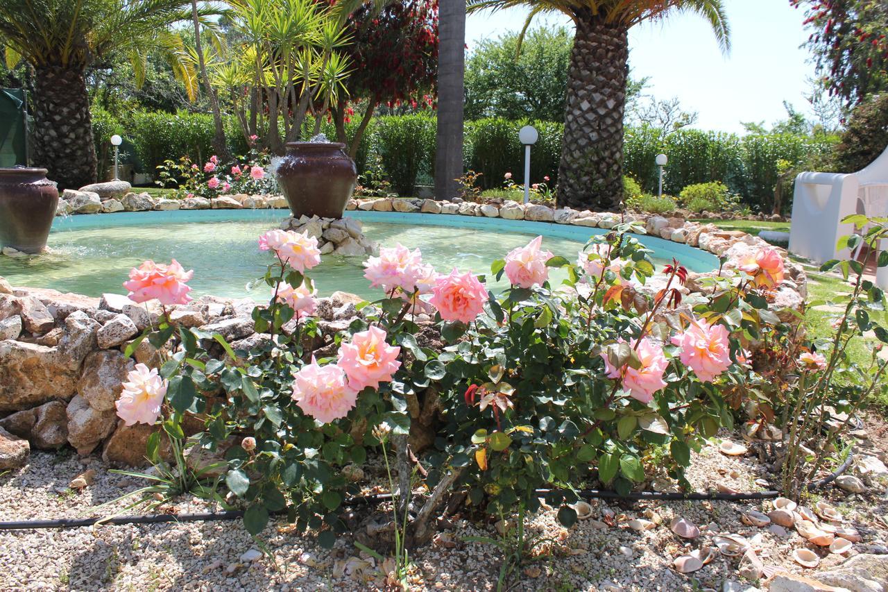 カルヴォエイロ Quinta Dos Oliveiras Bed & Breakfast エクステリア 写真